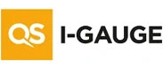 QS I-Gauge